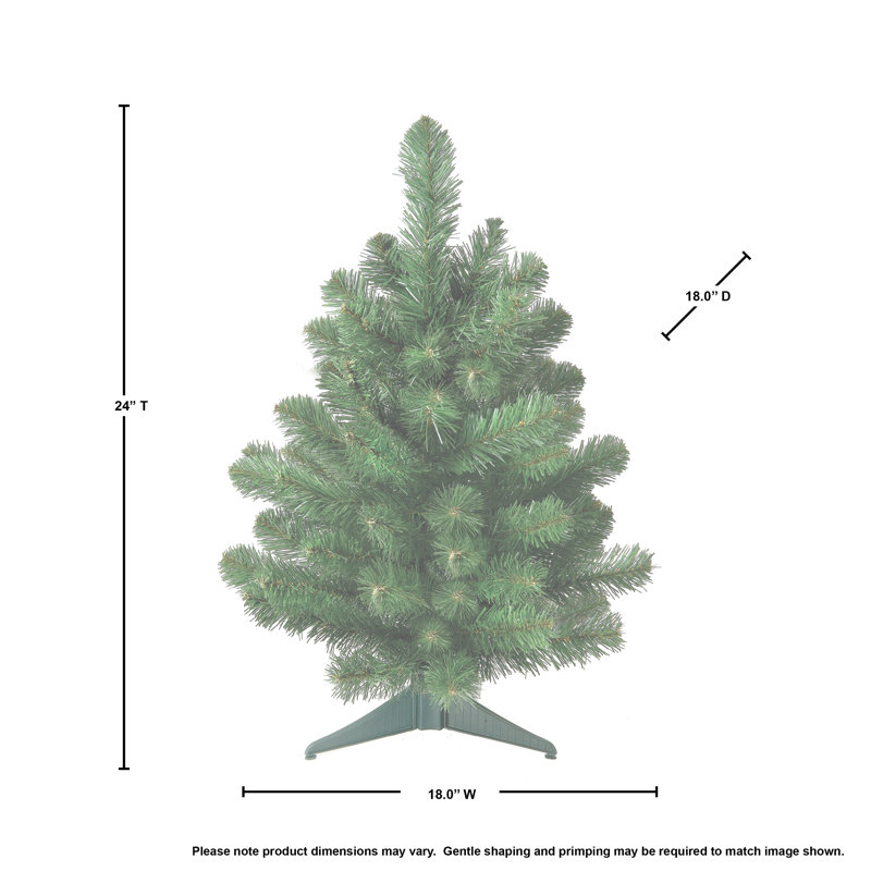 2' Deluxe Oregon Fir Tree