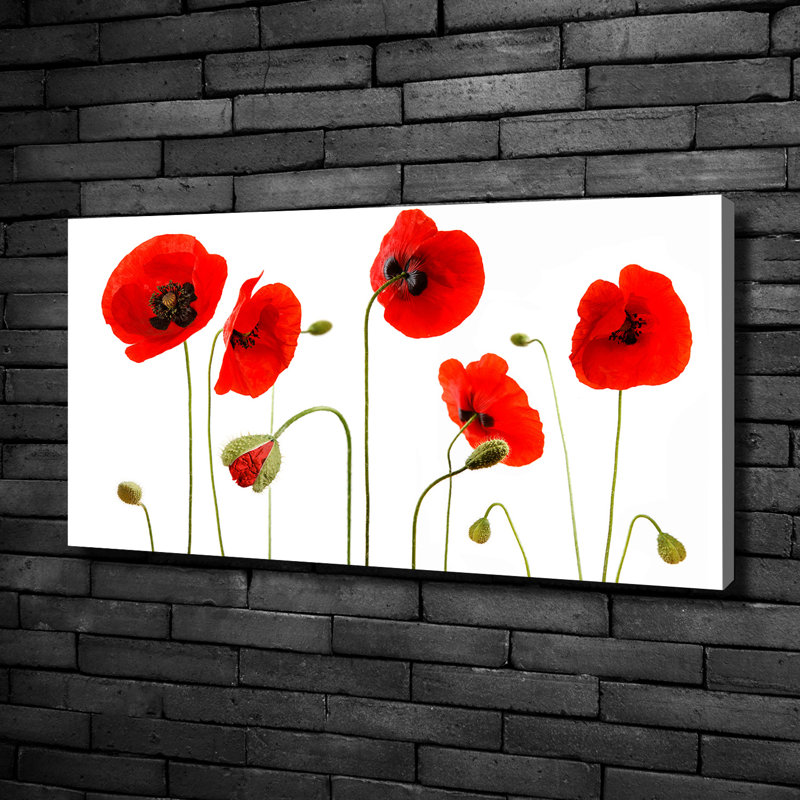 Maki - No Frame Print on Canvas