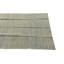 Tapis bleu 4 x 6 Pinkerton