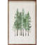 Watercolor Coniferous-722062426