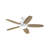 52'' Ceiling Fan with LED Lights-894715738