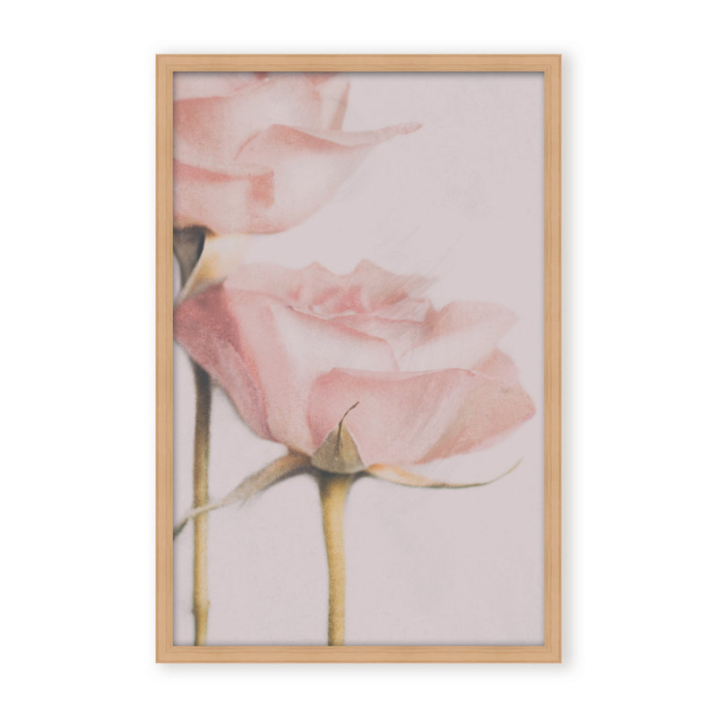 Nature Inspired Two Roses by  - Picture Frame Photograph on Paper, 36" H x 24" W x 1.125" D, Framed Print, White