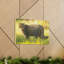 Art mural majestueux, impression de chat sauvage-794846269