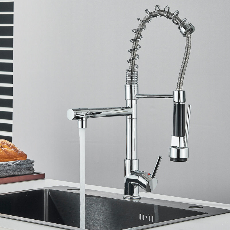 Belfry Kitchen Almena Pull Down Kitchen Faucet