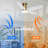 Flush Mount Ceiling Fans With Lights And Remote/app-1180975980-1181060485