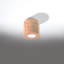 Bergelmir Flush Mount