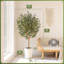 Olive artificielle 6 pi