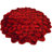 Andreoni Floral Indoor Rug-650518485