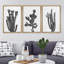 «Southwest Desert Cactus Nature Floral», ensemble de 3 impressions sur toile-85484296-119018365