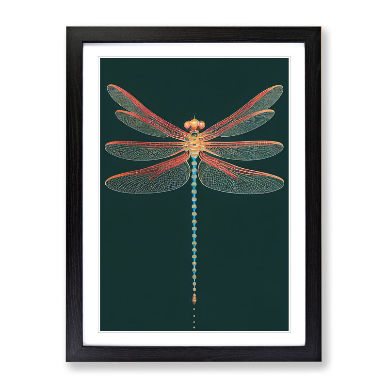 Gentle Dragonfly - Single Picture Frame Print, Black , 64cm H x 46cm W x 2cm D