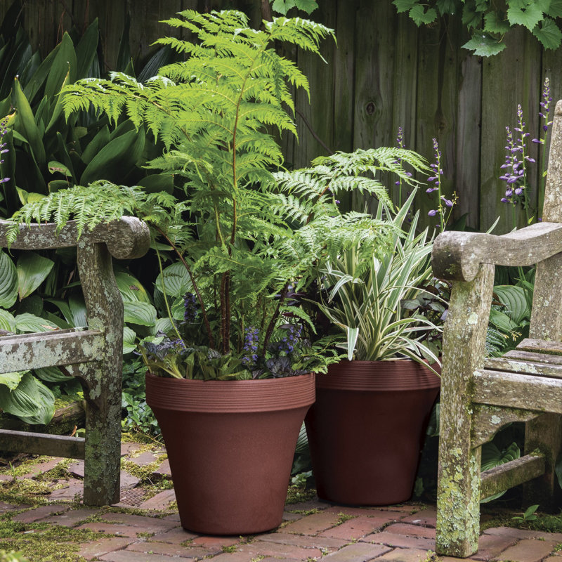 Pot de fleurs en plastique recyclé Ridge intérieur / extérieur Ridge, Écorce terrestre, H 15 po x l 15 po x P 15 po