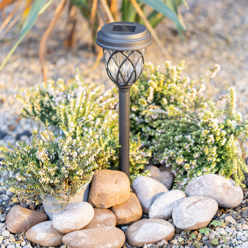 Phoenixville Low Voltage Solar Powered Integrated LED Pathway Light Kit