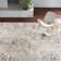 Dundalk Abstract Indoor Rug