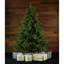 Foxtail 9' Green Pine Artificial Christmas Tree