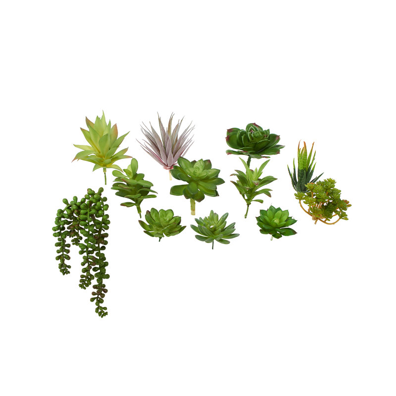 Ensemble de 12 tiges de plantes grasses artificielles de 3 à 4 po