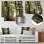 «Green Fall Forest with Sun Rays - Forest», reproduction de photo-950897109-1069226668-944648885