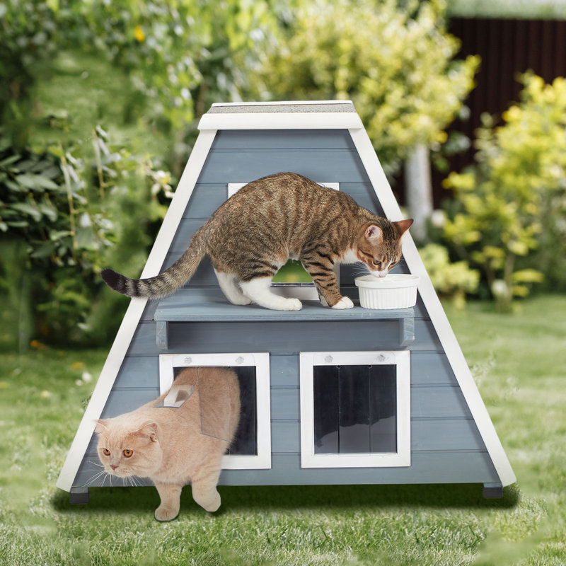 Maison d'extérieur pour chat résistante aux intempéries, maison d'extérieur pour chat avec porte de secours