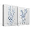 Antique Botanical In Blue I, toile tendue avec châssis de qualité supérieure - prête à être accrochée-129017198