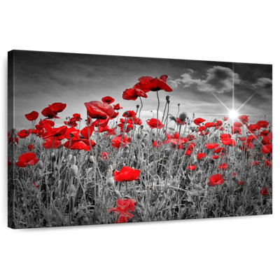 Harnek Red Poppies Pop