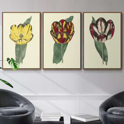 Antique Tulip II, ensemble de 3 toiles tendues avec châssis de qualité supérieure