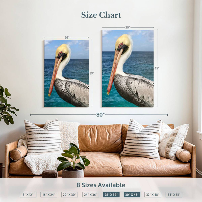 Brampt Pelican Profile, 39" H x 26" W