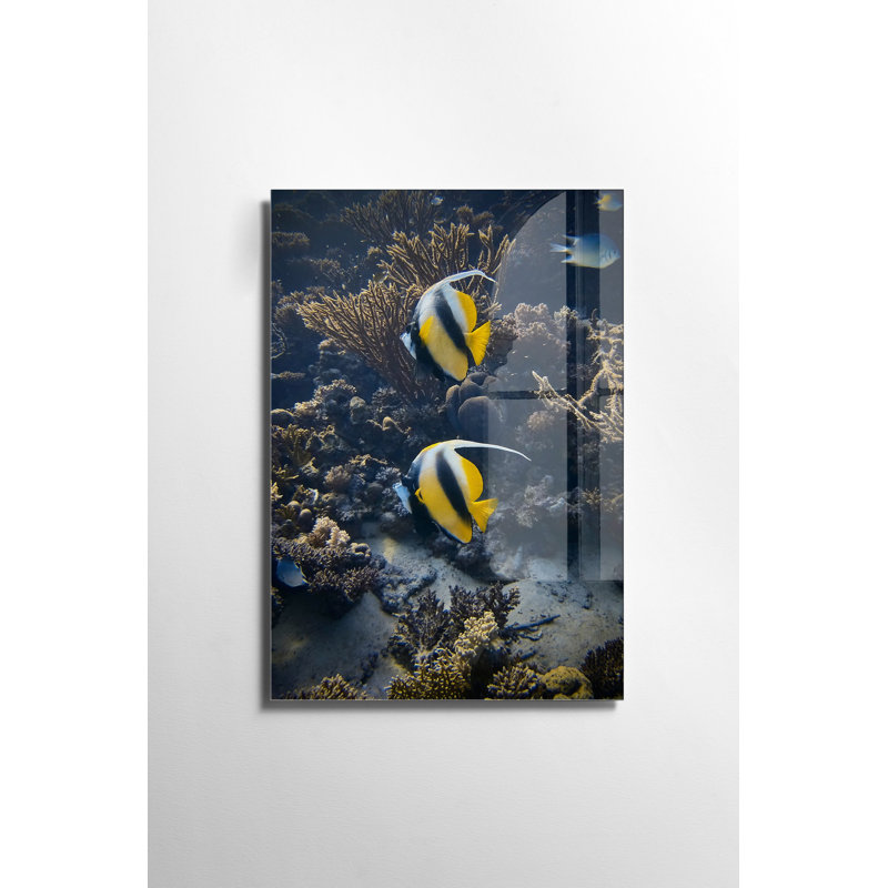 Verre 2, H 19,7 po x l 27,6 po x P 1 po