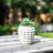 Stoneware Ceramic Planter with Raised Textured Surface and Rounded Edge Design - Contemporary Decorative Accent Pot with Sculpted Detail Ideal for Versatile Indoor or Outdoor Display-410682577