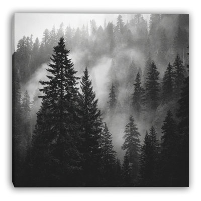 Art mural sur toile Valley Mist