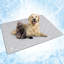 PET - B3022C Nylon rafraîchissant-95187685-95187678