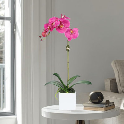 Orchid Arrangement In Vase