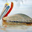  Housse et insert de coussin d'extérieur rectangulaire Pelican-27006882