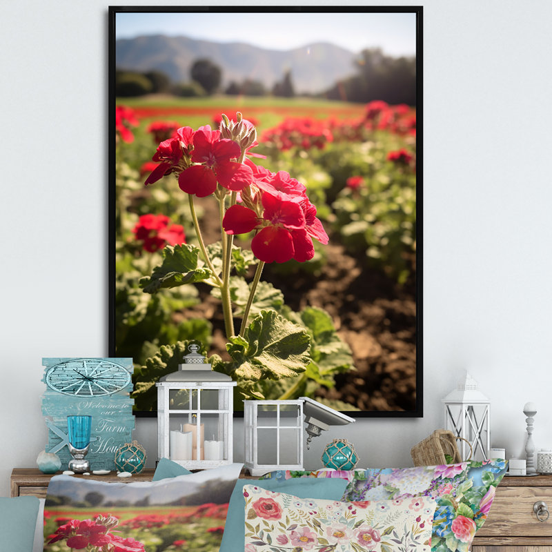 Photo Og Geraniums Field I sur toile, H 40 po x l 30 po x P 1,5 po, Cadre flottant noir