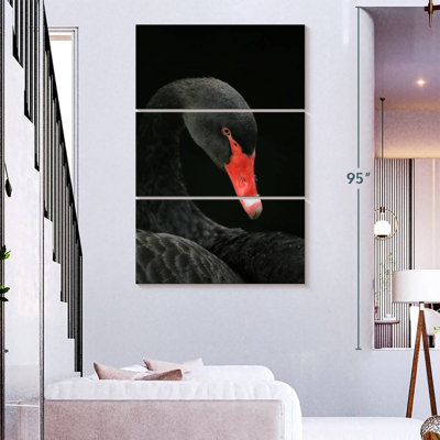 Tête de cygne noir Brampt