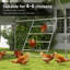 Chost Roost For Coop, Jungle Gym Roosting Bar