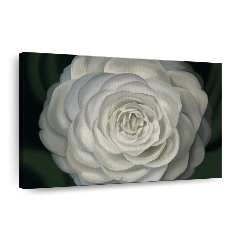 " Camellia ", 26" H x 39" W x 1.25" D