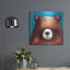 «L'ours brun» par Lucia Stewart-346328780