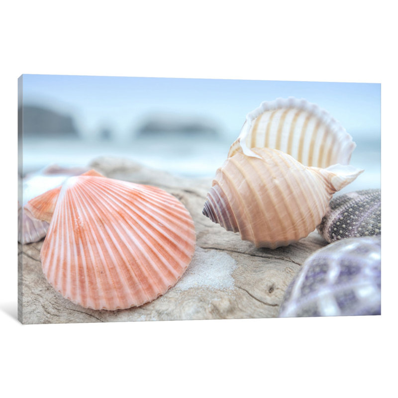 «Crescent Beach Shells X», estampe numérique sur toile tendue, H 26 po x l 40 po x P 1,5 po, Toile tendue