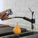 Orren Ellis Springboro Pull Out Kitchen Faucet
