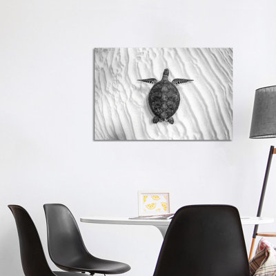 Green Sea Turtle Great Barrier Reef #4 by Jordan Robins - Wrapped Canvas Print