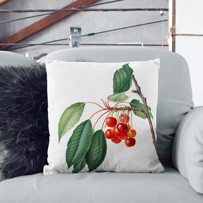 Square Throw Cushion