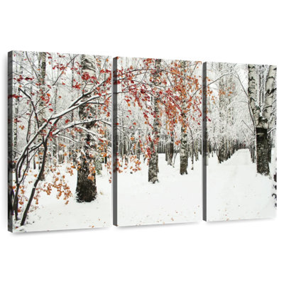Alvord Frosty Birch Forest