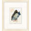 Hidden Faces 9 Print by Thom Filicia