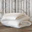 Celesta Luxe by De Medici 650 Summer Down Comforter-571877405