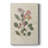 Pressed Arrangement II -Custom Wrapped Gallery Cavas