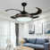 Aelin 42'' Ceiling Fan with LED Lights
