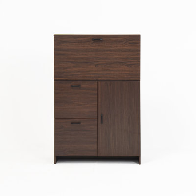 Desk Cabinet, with Storage Drawer & Shelves by Latitude Run