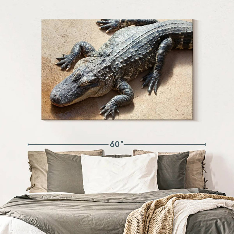 Crowle Alligator