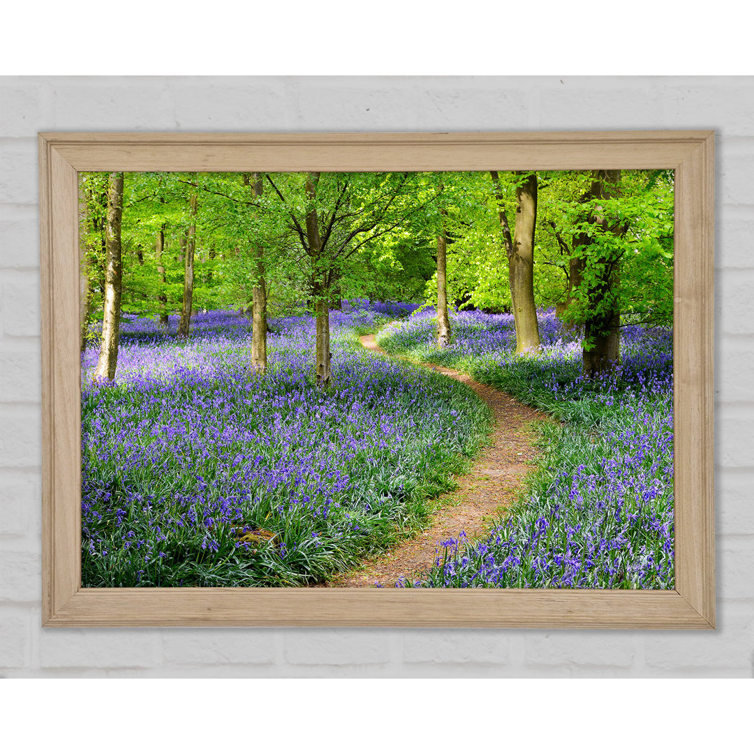 Spaziergang durch den Bluebell Path Gerahmter Druck