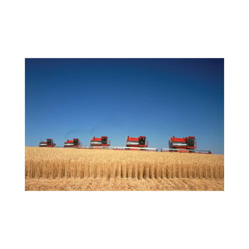 1970s Five Massey Ferguson Combines Harvesting Wheat Nebraska USA by Vintage Images - Wrapped Canvas Print