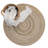 Brailin Indoor Rug-496697795